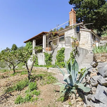 House Silvana בית נופש פוסטיר
